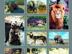 Animals Of The Bible