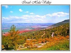 Israel Poster Hula Valley