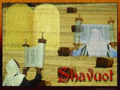 Jewish Holidays Shavuot